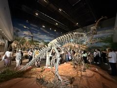 -自贡恐龙博物馆