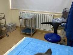 -芭比堂动物医院·CT·微创中心(新顺分院)