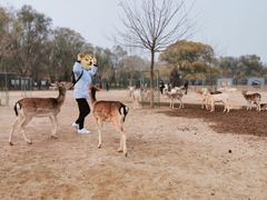 -北京麋鹿生态实验中心