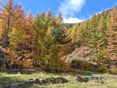 -苏木山森林公园