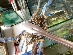 兰花蟹-阿弟特色海鲜餐厅·大排档(平潭店)