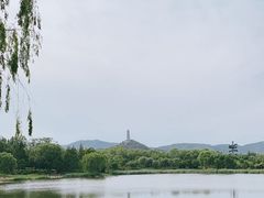 -北坞公园