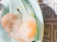 燕饺-星龙海鲜(望江东路店)