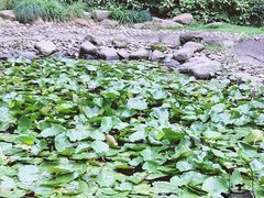 -苏州河梦清园环保主题公园