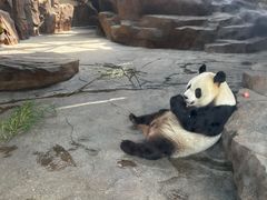 -宁波野生动物园
