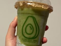 -油梨树AVOCADO TREE(嘉里中心店)