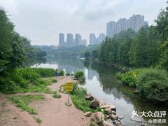 -重庆彩云湖湿地公园