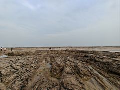 -日照海滨国家森林公园