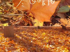 -仰山公园