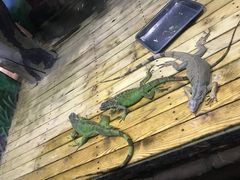 -石家庄市动物园