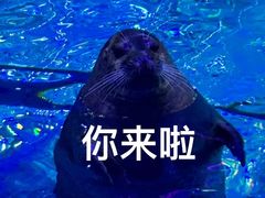 -海合安青岛极地海洋公园