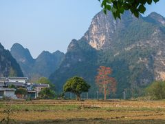 -明仕田园