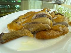 -老乡村美食农庄