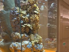 -粤珍轩·家宴·广式茶点(新城广场店)