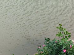 -黄公望隐居地