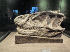 -自贡恐龙博物馆