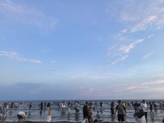 -江山半岛白浪滩景区