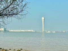 -上海吴淞炮台湾国家湿地公园