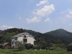 -龙井村