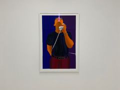 -胶囊画廊