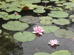 -石塘人家
