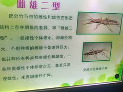 -上海昆虫博物馆