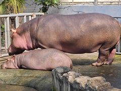 -宁波野生动物园
