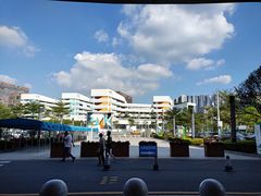 -深圳大学总医院