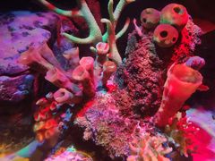 -沈阳海洋探索中心