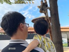 -灵玲国际马戏城