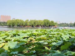 -济南大明湖景区