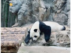 -北京动物园