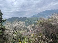 -福建土楼(南靖)景区