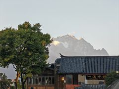 -嘉华鲜花饼(四方街旗舰店)