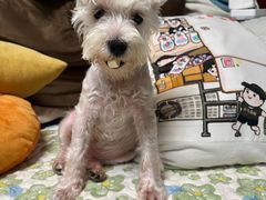 -宠瑞康动物医院