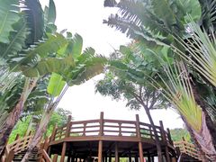 -深圳国际园林花卉博览园