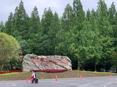 -东平国家森林公园