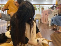 -柯斗斗主题餐厅·狗咖·围炉煮茶·茶饮(国瑞升平里店)