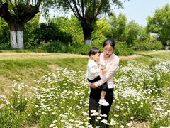 -汉长安城未央宫国家考古遗址公园