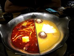 红颜花胶鸡锅-湊湊火锅·茶憩(东城万达店)
