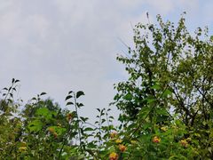 -成都杜甫草堂博物馆