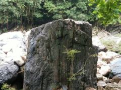 -石台牯牛降景区
