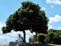 -红花山公园