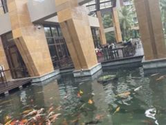 -三亚湾海居铂尔曼度假酒店