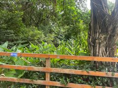 -广州长隆飞鸟乐园