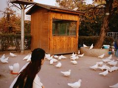 -西安秦岭野生动物园