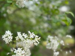-白塘生态植物园