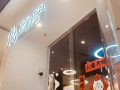-COLOR PETS 撸猫馆·购猫·猫咖(长风大悦城店)