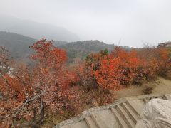 -香山公园