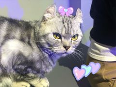 -极木²邸 人与宠物·互动社区